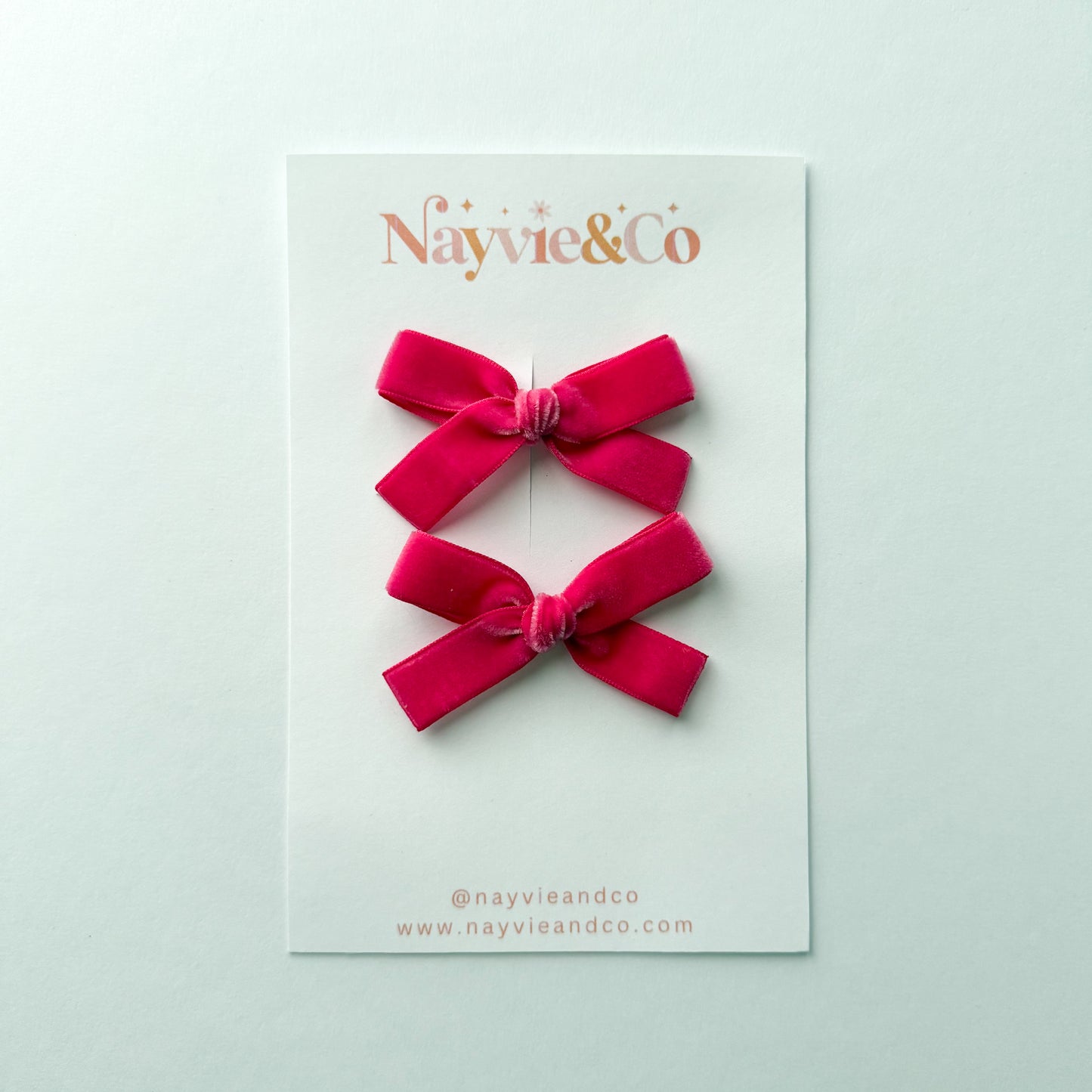 HOT PINK Velvet Ribbon Piggy Set