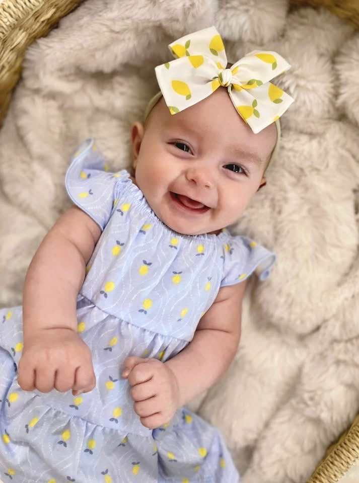 Lemons Hand-tied Bow