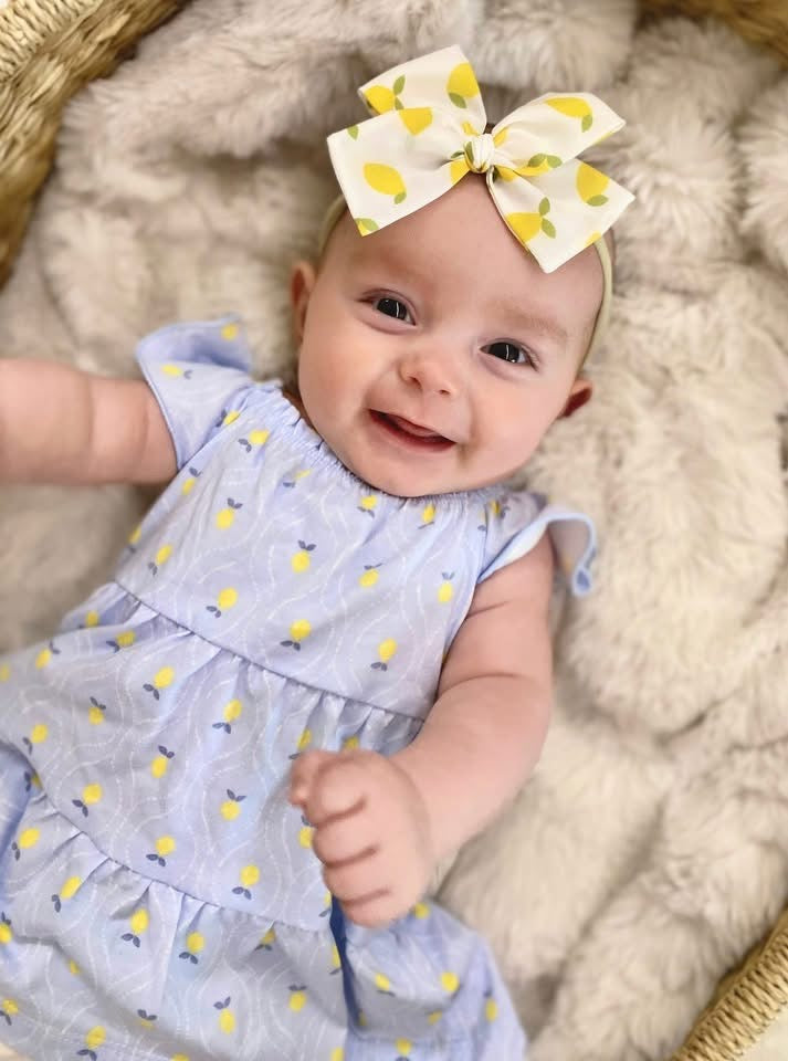 Lemons Hand-tied Bow
