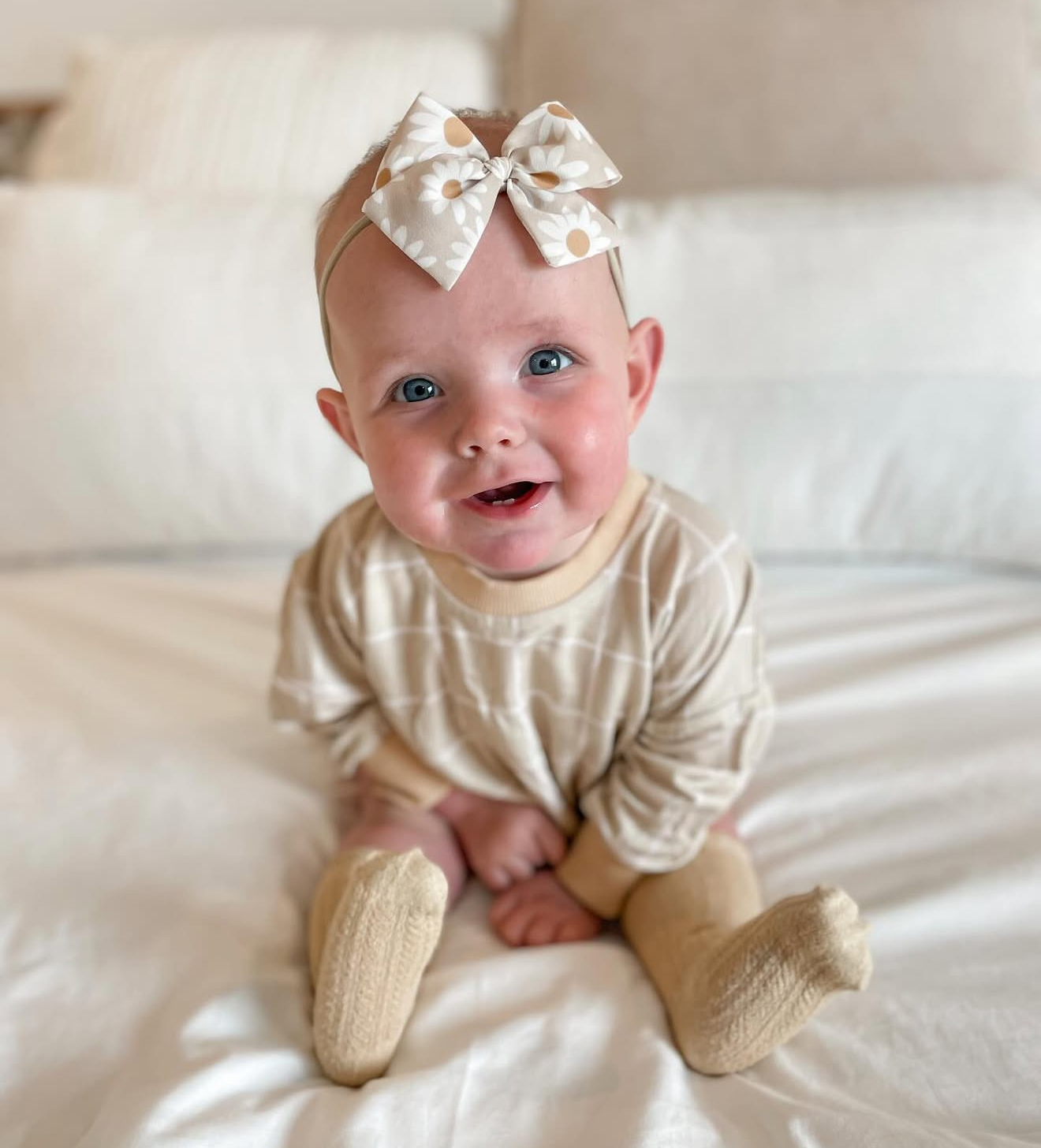 Daisies on Beige Hand-tied Bow