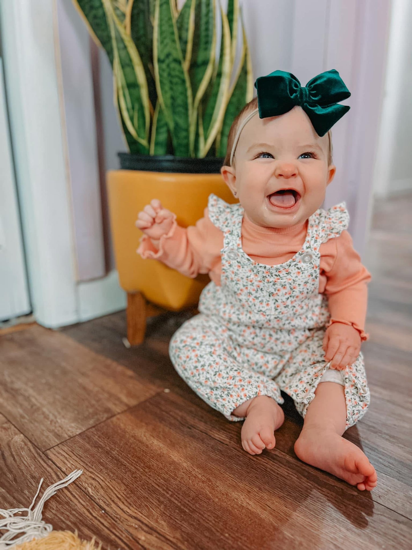 Evergreen Velvet Hand-tied Bow