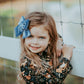 Dusty Blue Velvet Hand-tied Bow