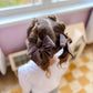 Chocolate Velvet Hand-tied Bow