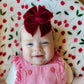 Cranberry Velvet Fable Bow