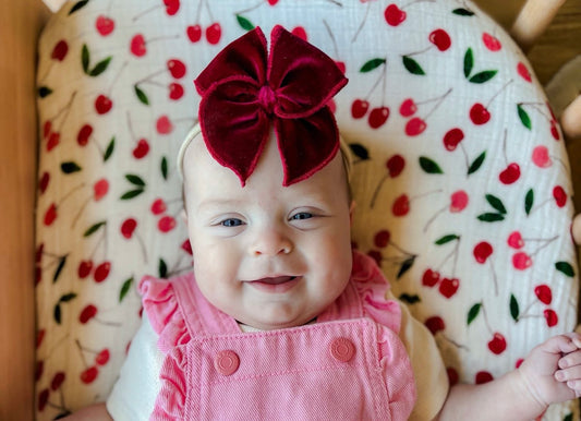 Cranberry Velvet Fable Bow